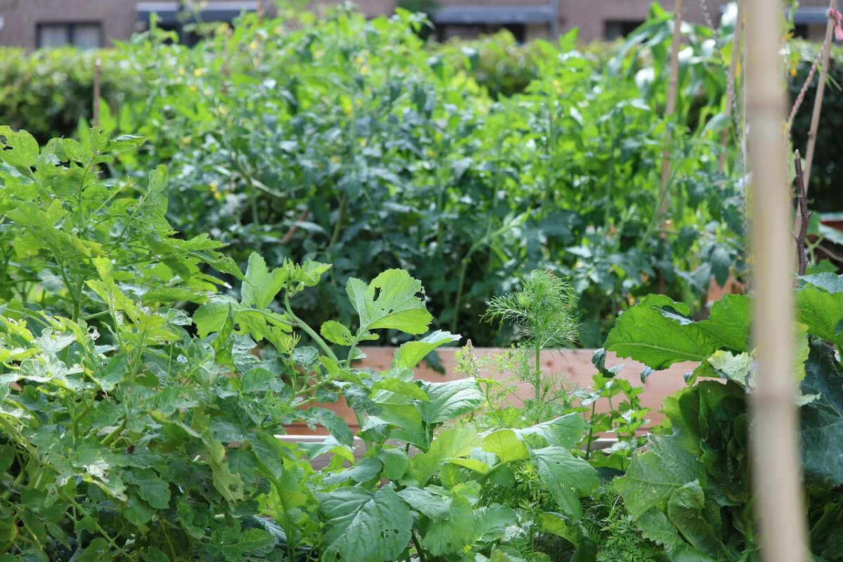 How we pack galvanised raised garden beds for the courier