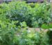 How we pack galvanised raised garden beds for the courier