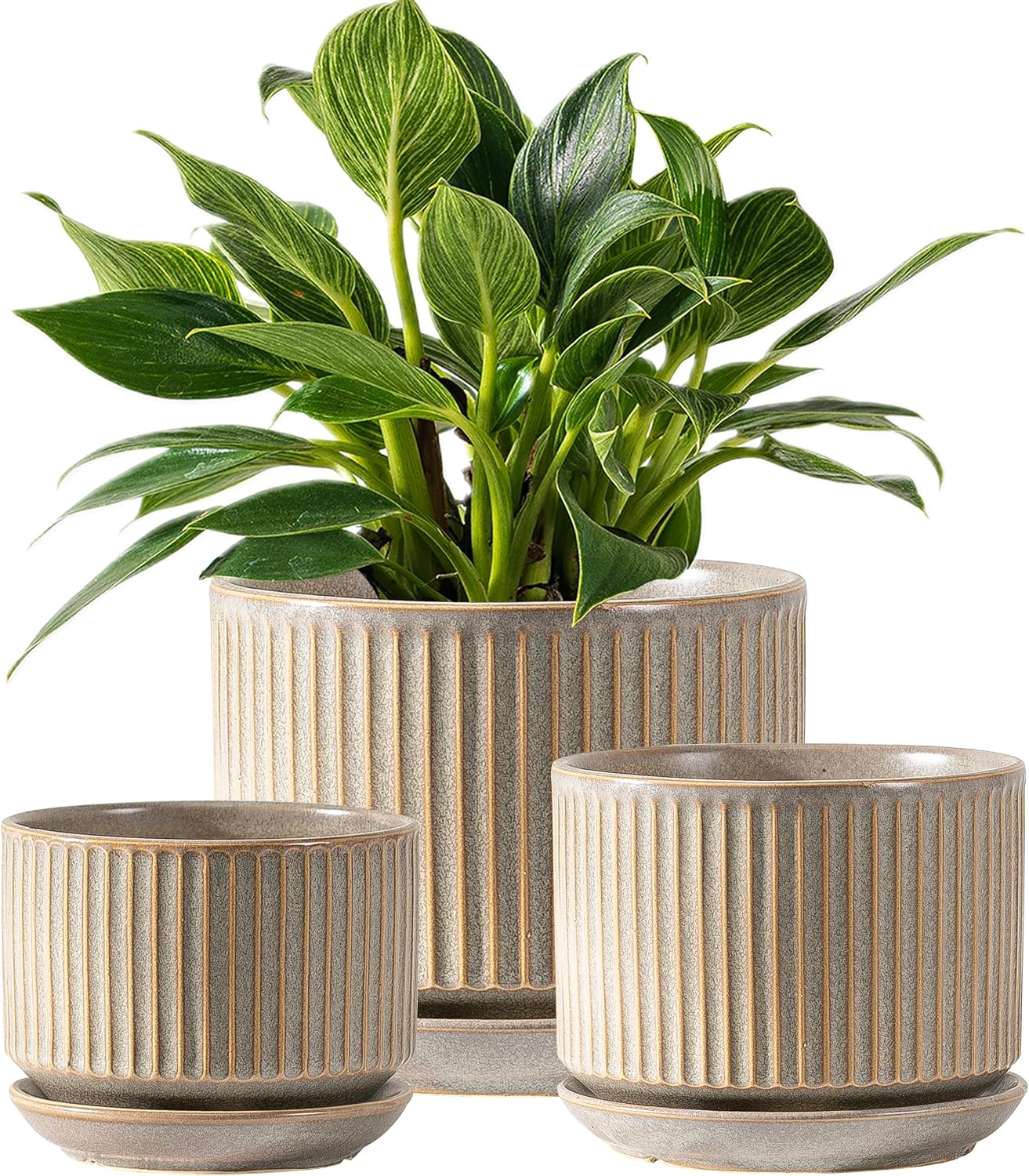 Piece Ribbed Ceramic