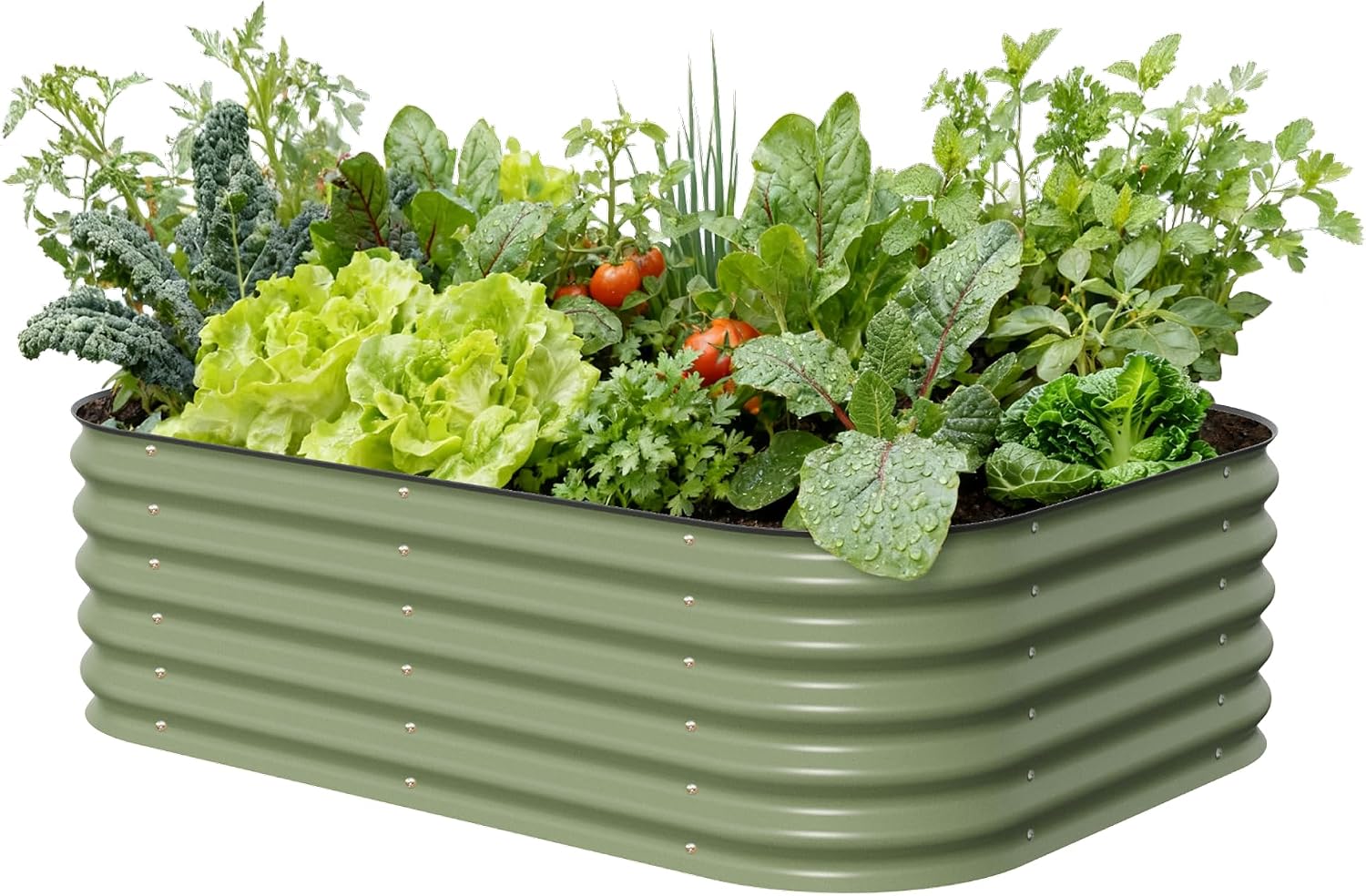 Olive Green Metal