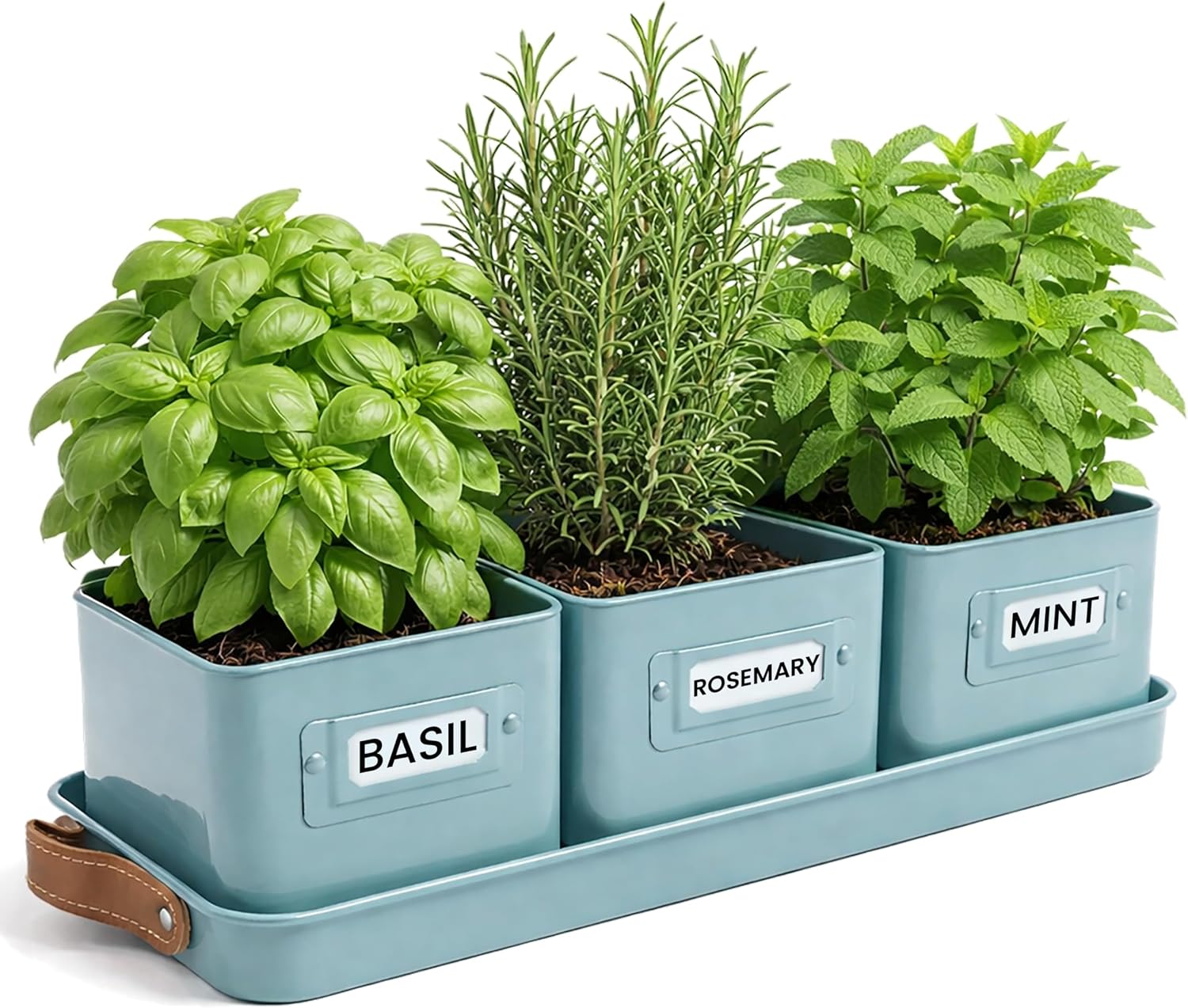 3-Piece Teal Blue Indoor Herb Planter Set with Tray